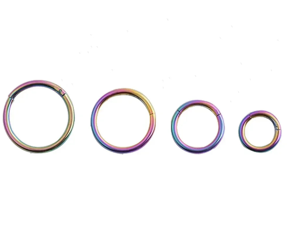 5pc 6/8/10mm Nose Ring Hinged Clicker Segment Nose Rings Helix Cartilage Septum Hoop Surgical Stainless Steel Seamless Earrings